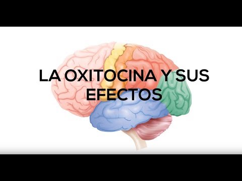 Descubre cómo se produce la oxitocina y mejora tu bienestar