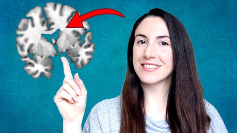 Descubre las enigmáticas sustancias blancas del cerebro en solo 70 caracteres